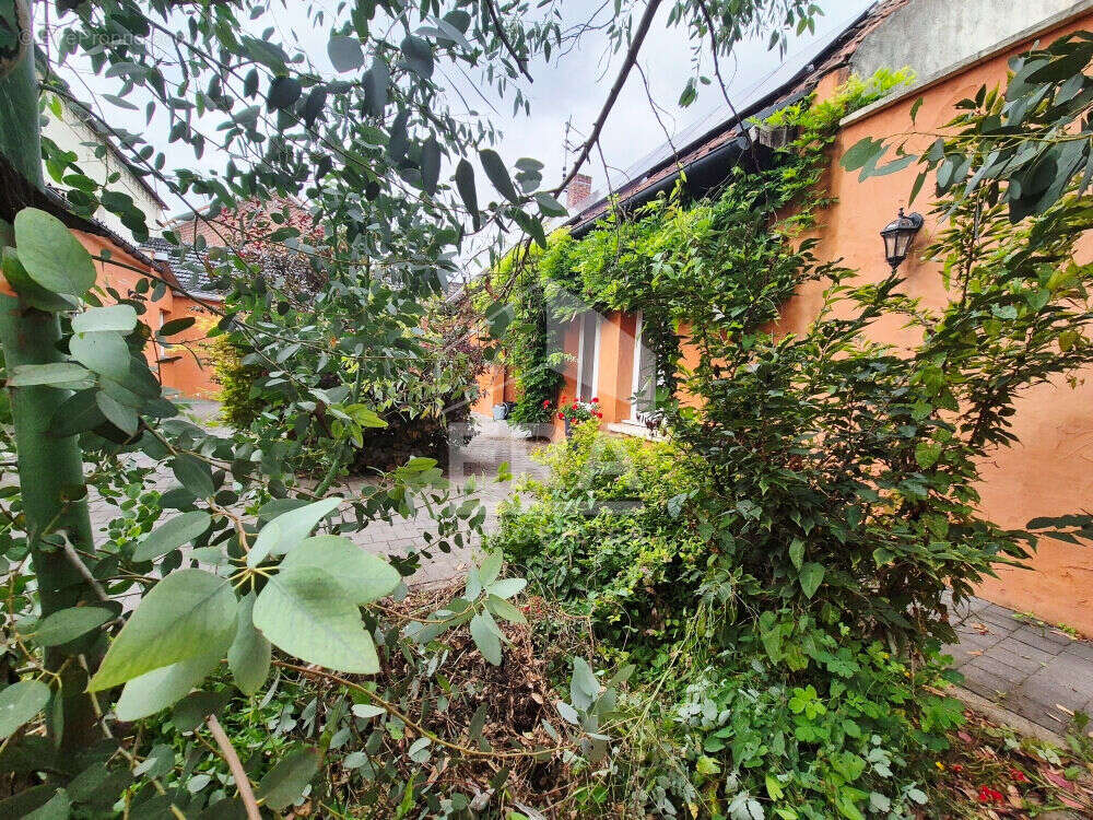 Maison à LEFOREST