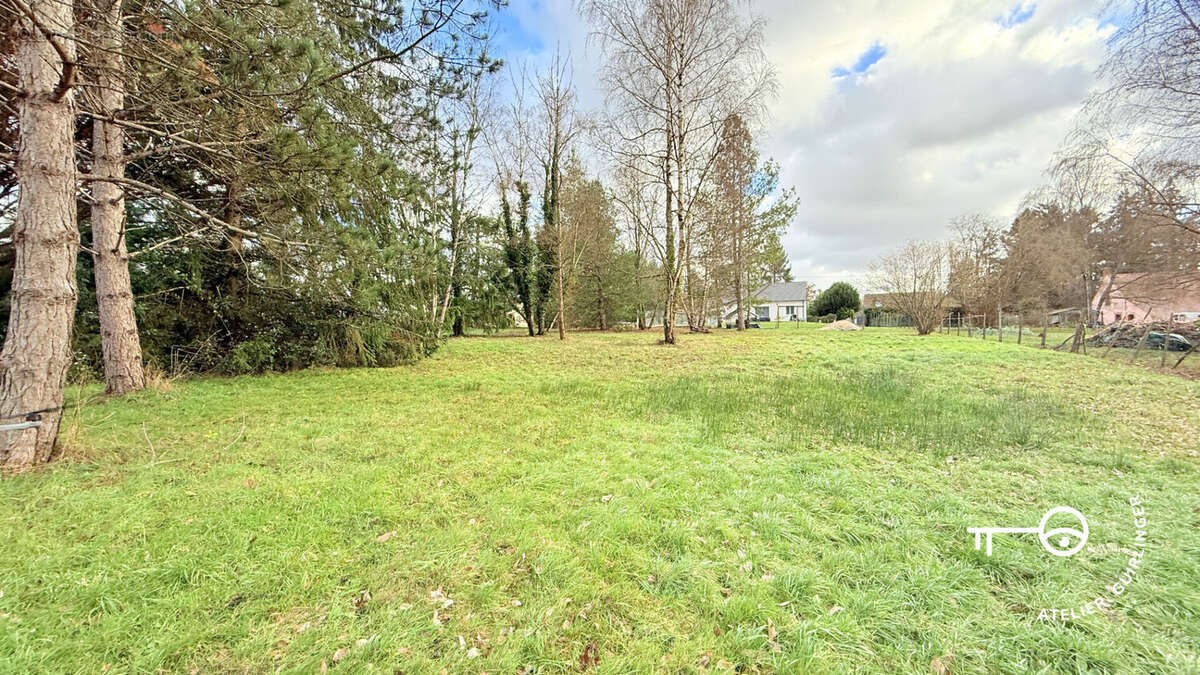 Terrain à MONTRIEUX-EN-SOLOGNE