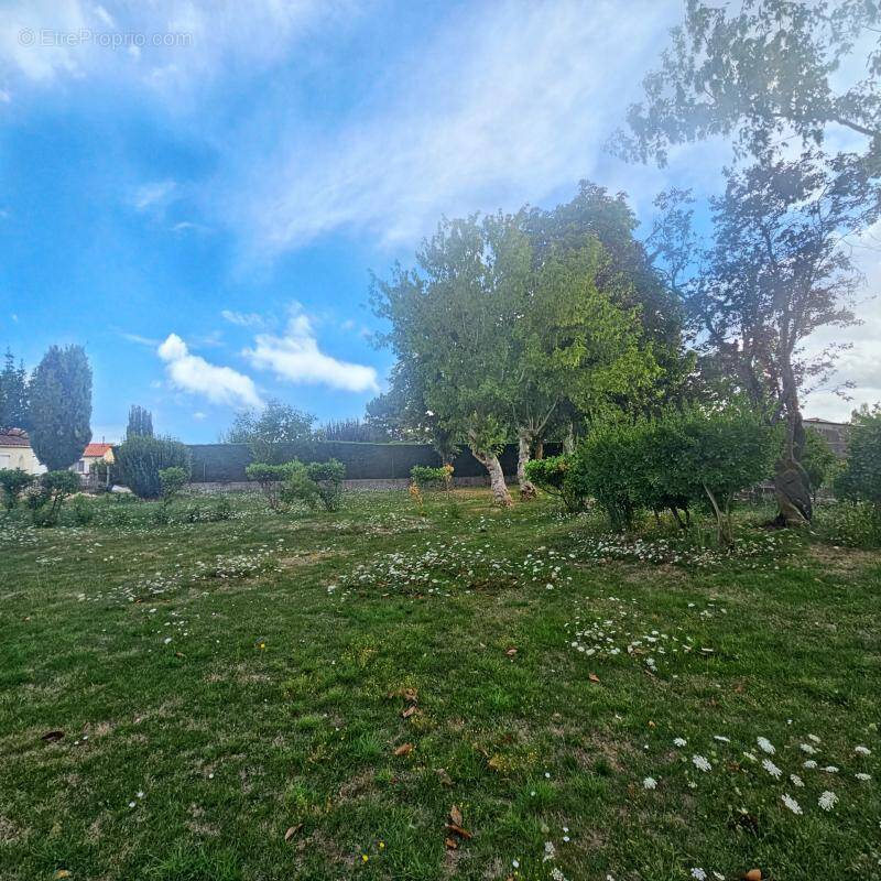 Terrain à CHAMPAGNE-LES-MARAIS