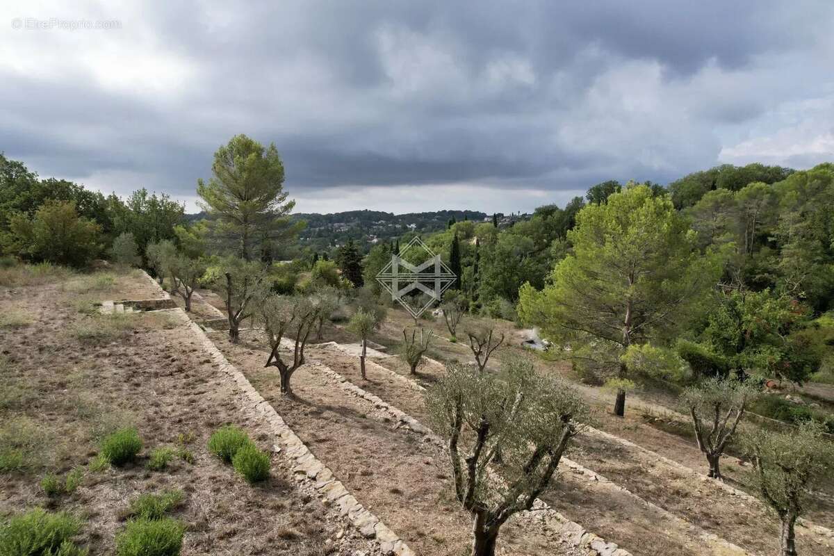 EXCLUSIVITE : Valbonne splendide terrain de 1 hectare - photo 10
