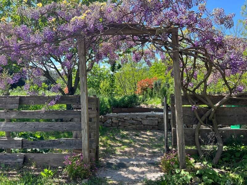 Maison à SAINT-JULIEN-LES-ROSIERS