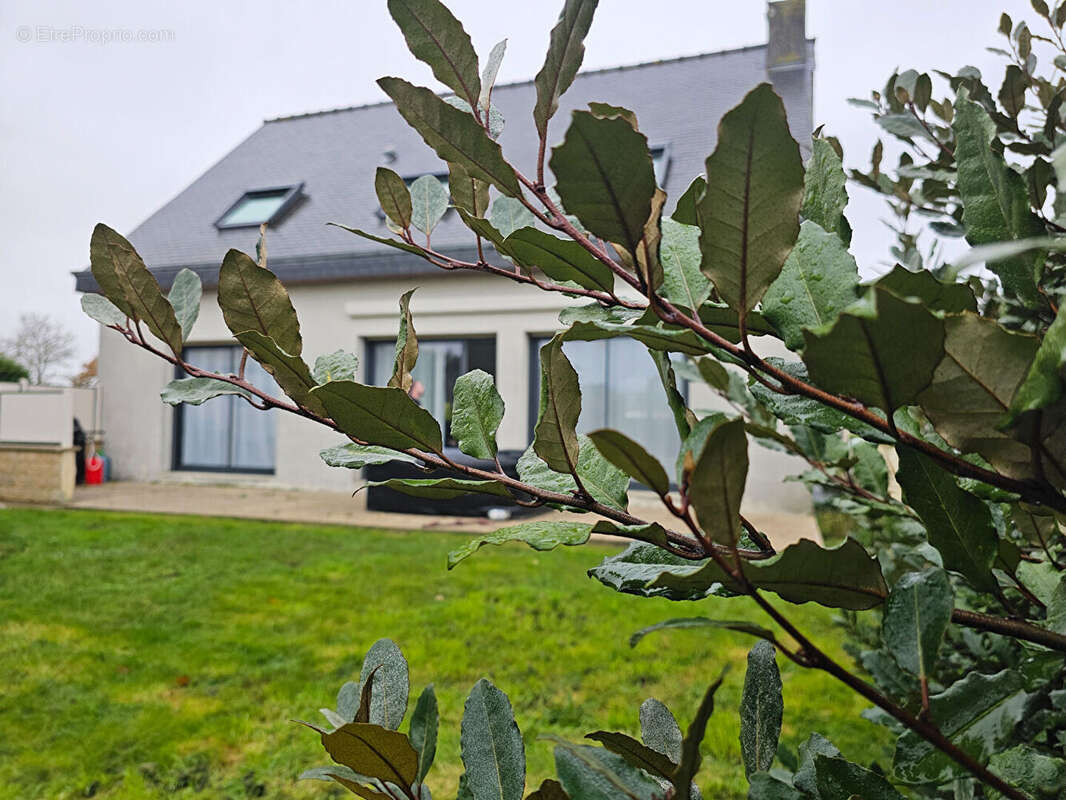 Maison à YFFINIAC
