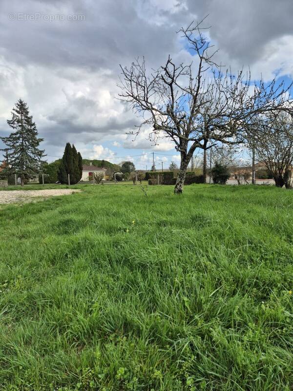 Terrain à BARBEZIEUX-SAINT-HILAIRE