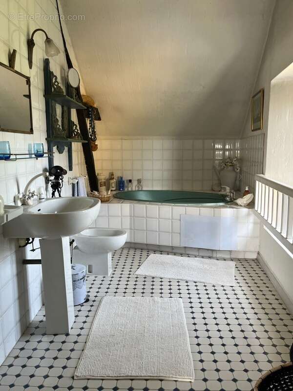 PLAISANCE DU GERS 10 min: ELEGANTE MAISON DE CARACTERE, restaurée par architecte, 320m2, 4700m2 en partie clos - photo 43
