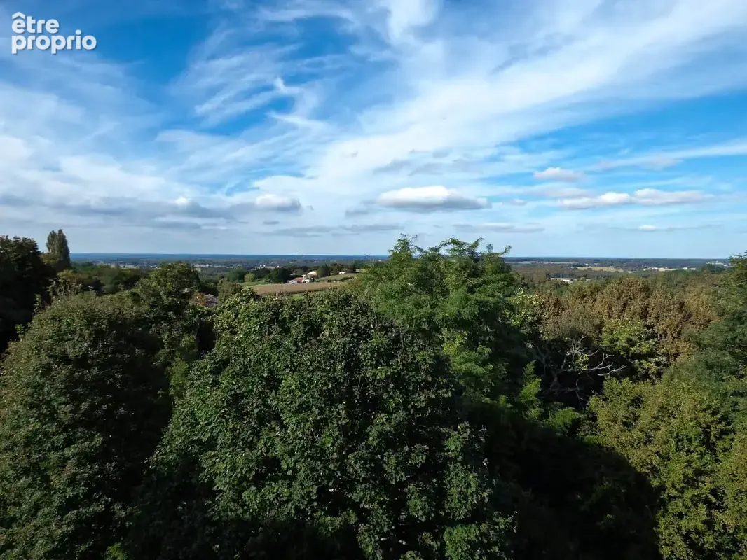 Château féodal au coeur des Landes sur 3,5 hectares - photo 12