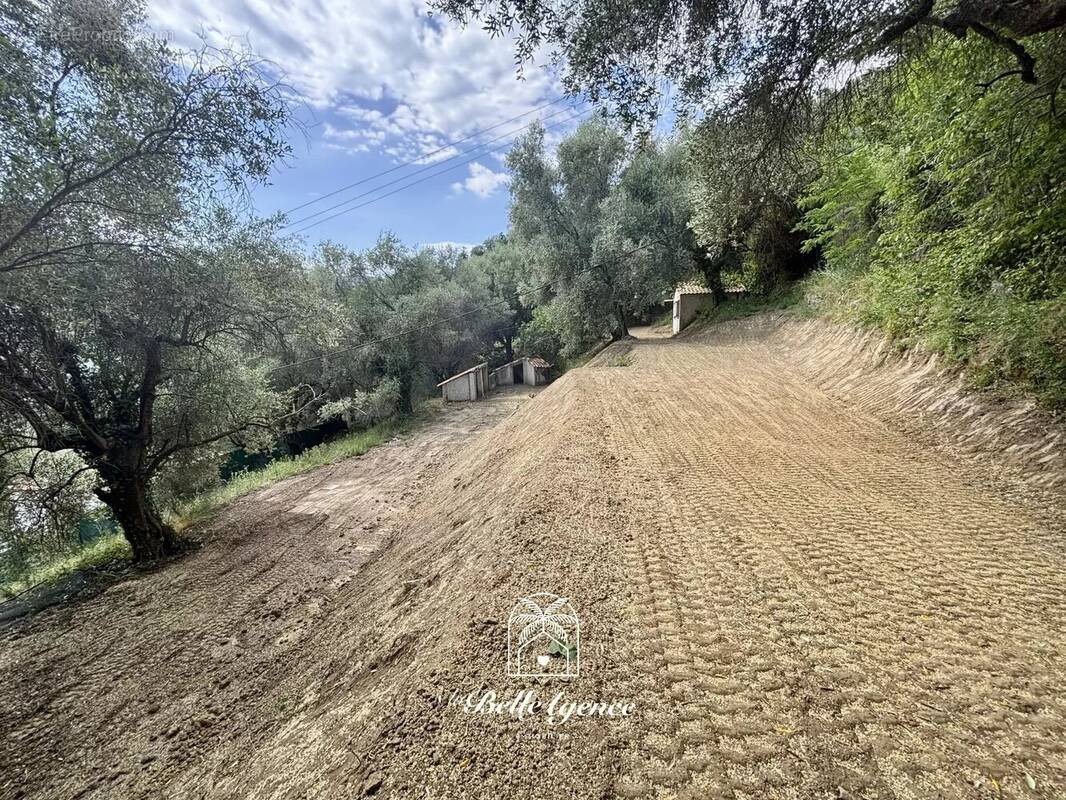 Contes - Las Ayas - Terrain constructible 2385m² - Permis accordé - "Thomas" - photo 3