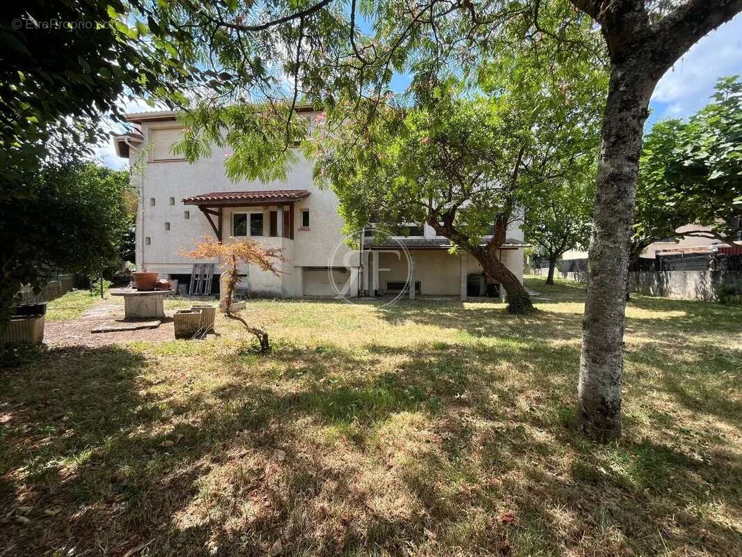 Maison à PUISSEGUIN
