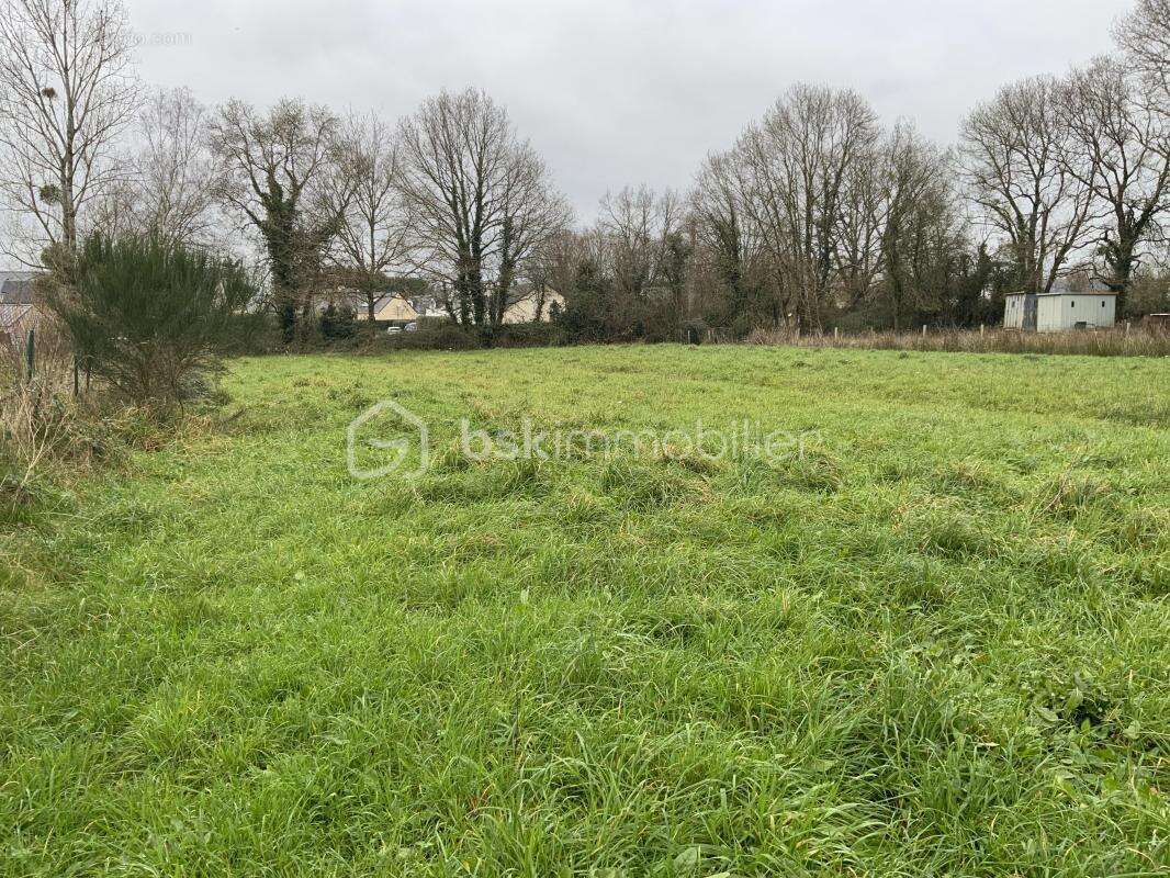 Terrain à SAINTE-ANNE-SUR-BRIVET