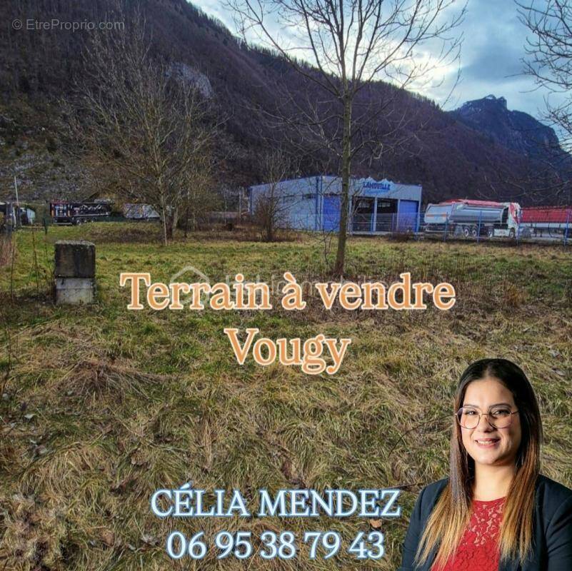 Terrain à VOUGY