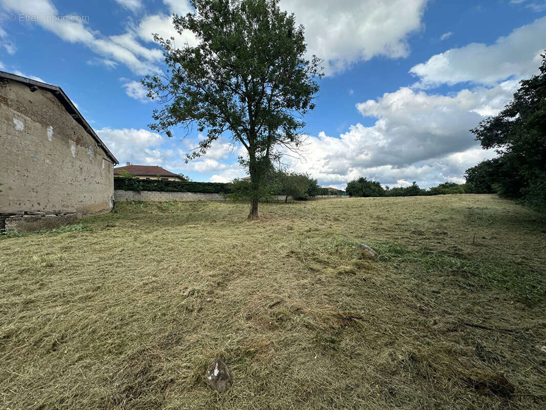 Maison à SATOLAS-ET-BONCE