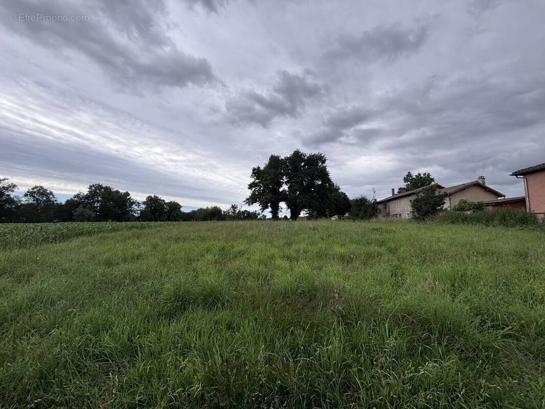 Terrain à FRANCHELEINS
