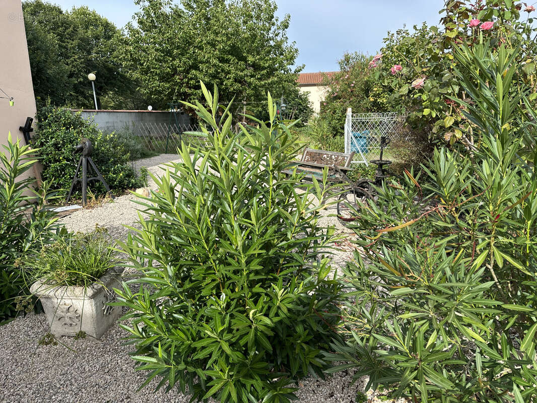 Maison à L'ISLE-EN-DODON