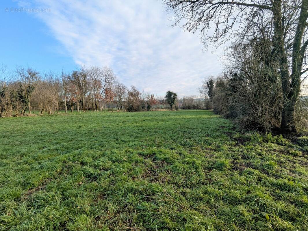 Terrain à SAINT-RIQUIER