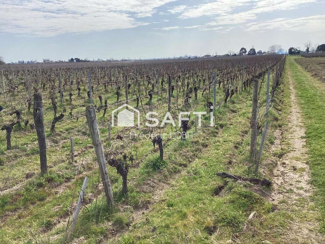 Photo 4 - Terrain à SAINT-EMILION