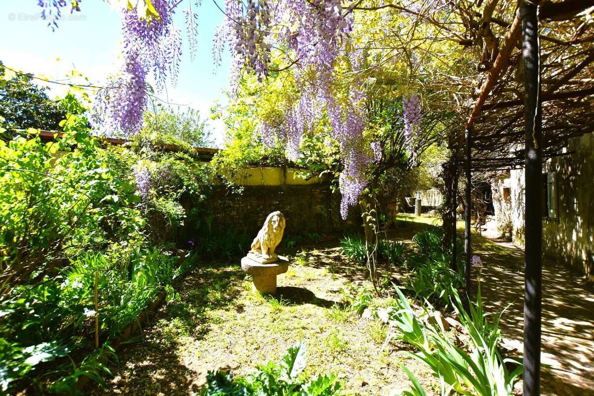 Photo 6 - Maison à CAUNES-MINERVOIS