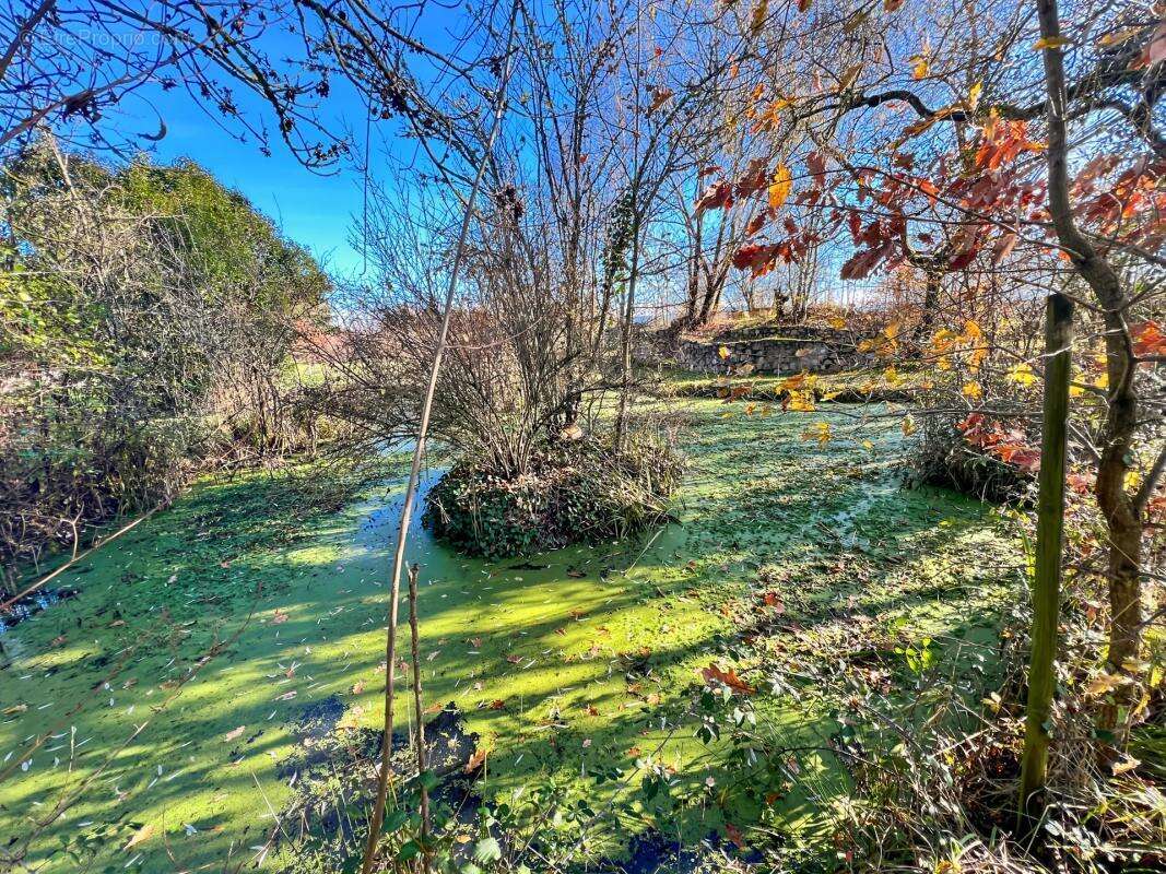 Maison à SAINT-SYLVESTRE-PRAGOULIN