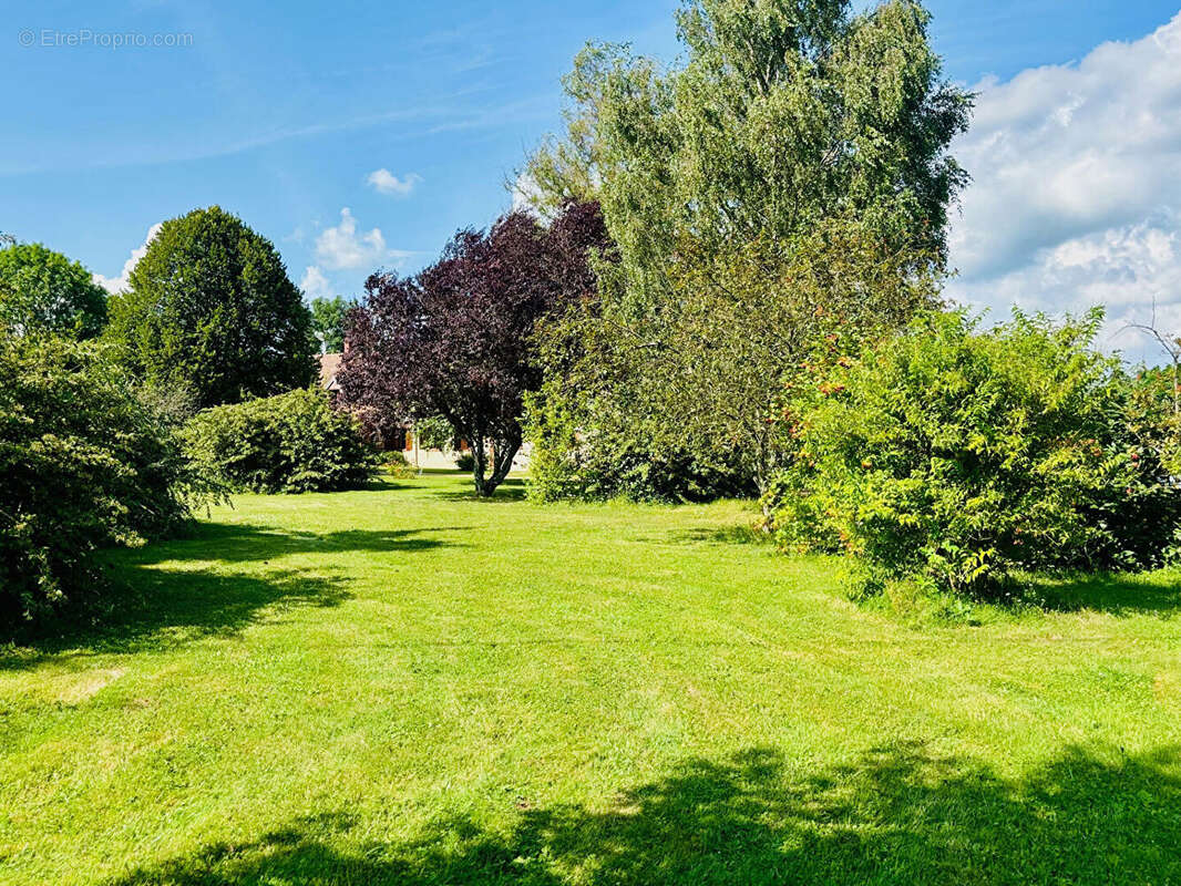 Maison à MORTAGNE-AU-PERCHE