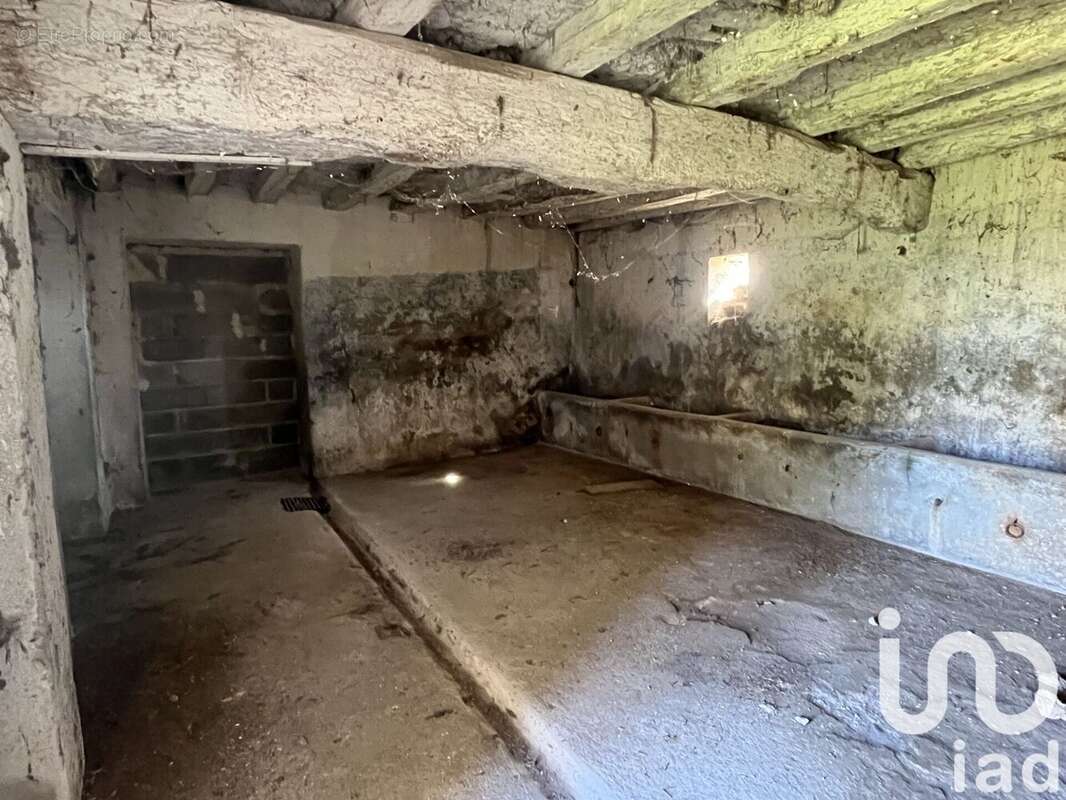 Photo 5 - Terrain à CHAMBOURG-SUR-INDRE