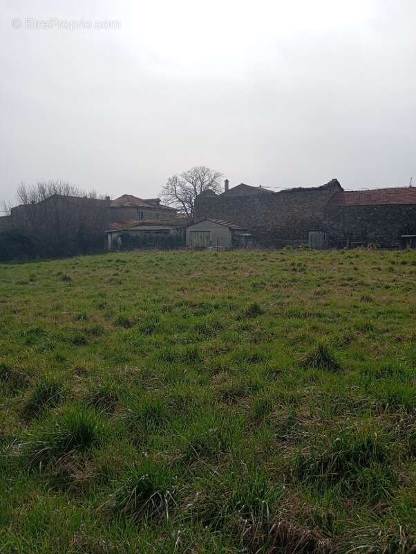 Terrain à SAINT-VALLIER