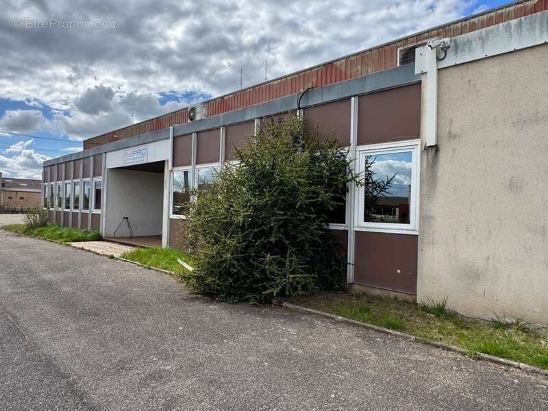 Commerce à CASTELCULIER