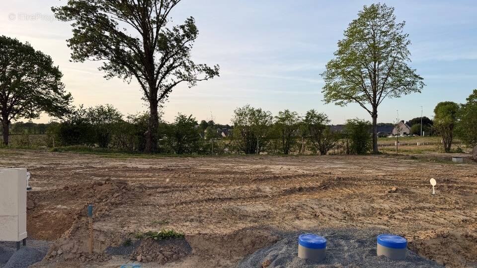 Terrain à LA CHAPELLE-DES-FOUGERETZ