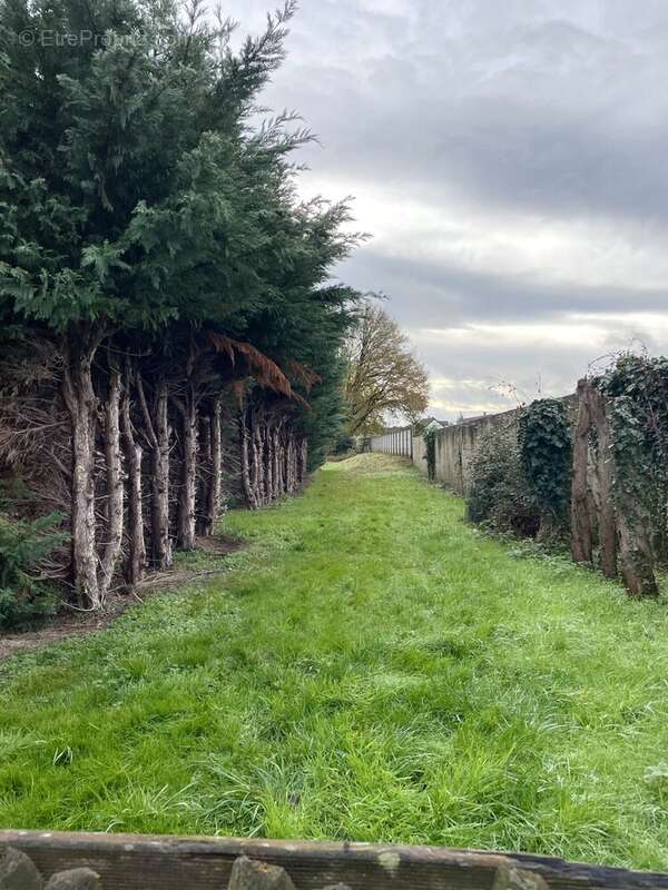 Chemin d&#039;accès privé - Terrain à GUECELARD