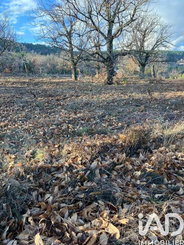 Photo 1 - Terrain à SANILHAC