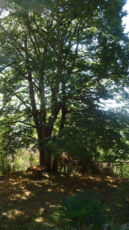 Maison à ALLAS-LES-MINES