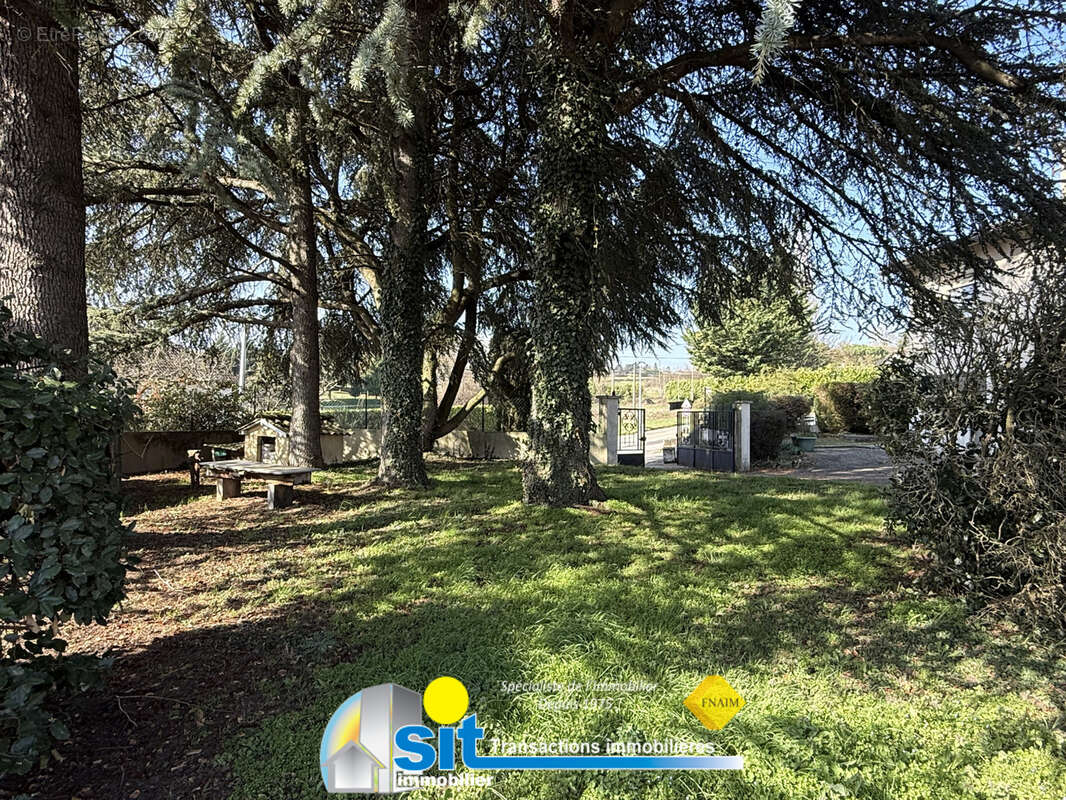 A vendre - maison sur sous-sol - reventin-vaugris - photo 12