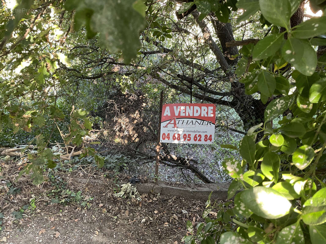 Terrain à ARGELES-SUR-MER