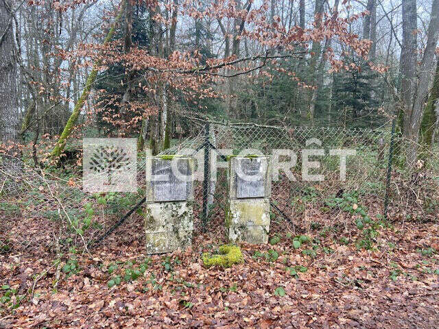 Terrain à BOISSY-LES-PERCHE