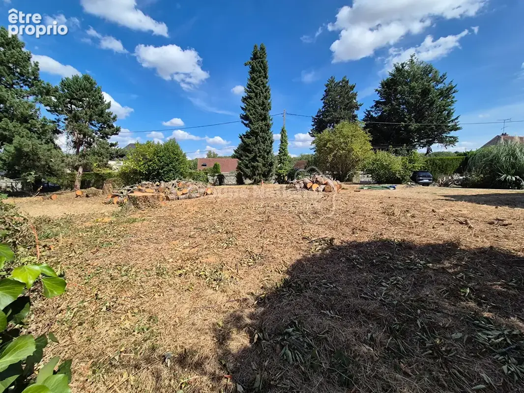 Noailles - terrain -  681 m2 -  facade 60 m - photo 5