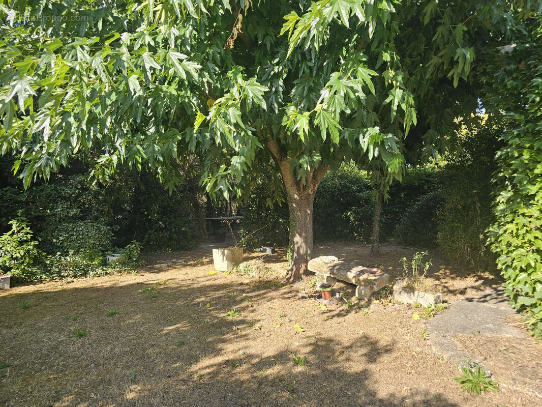 MAISON DE 112 M2 env sur 767 m2 de terrain - photo 3