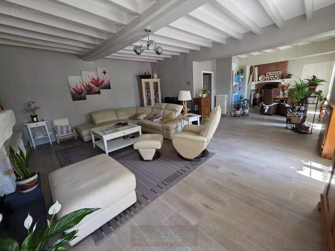 Grande maison de charme à Villevoques, 256 m², 3 chambres - photo 4