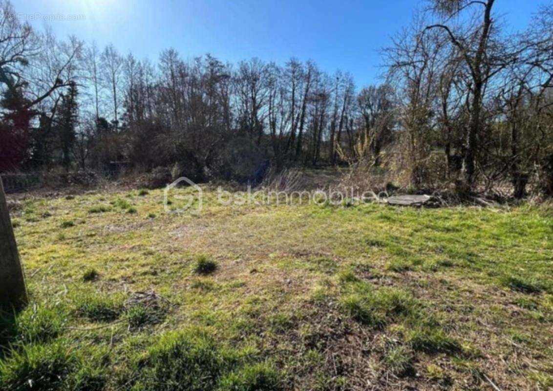 Maison à VILLENEUVE-SUR-YONNE