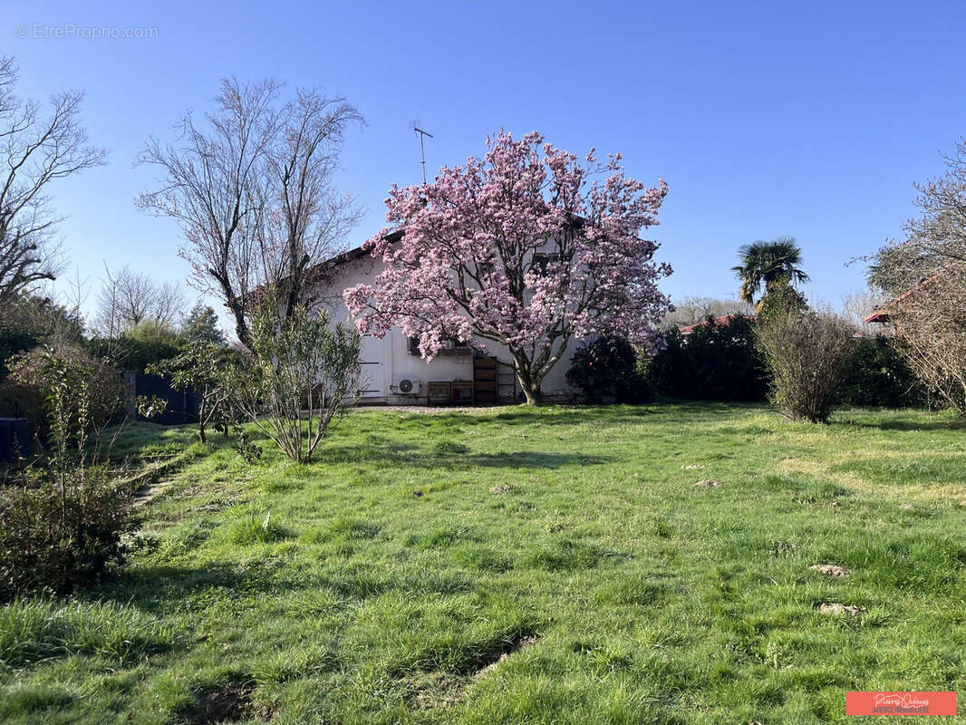 Maison à SAINT-MARTIN-DE-HINX