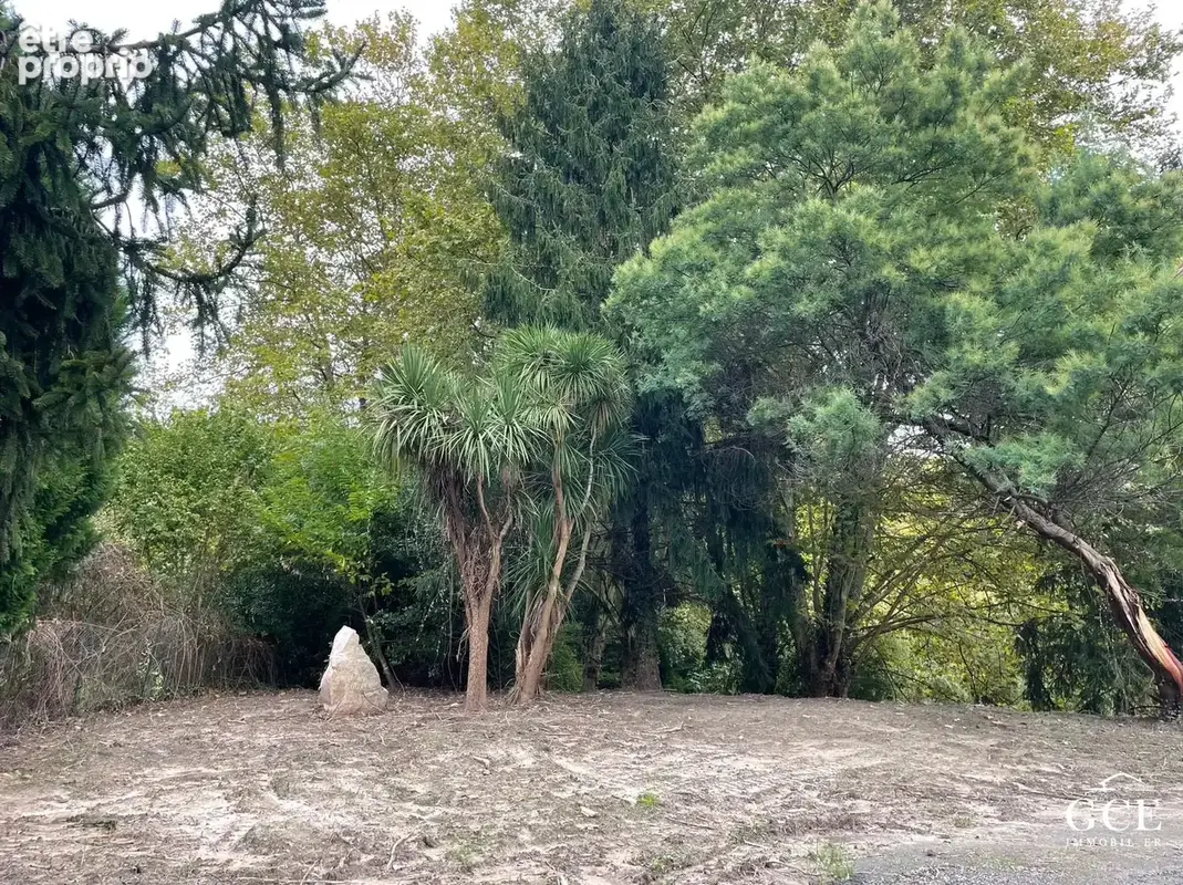 Terrain 7 559 m² à vendre à Bayonne (64100) - photo 3