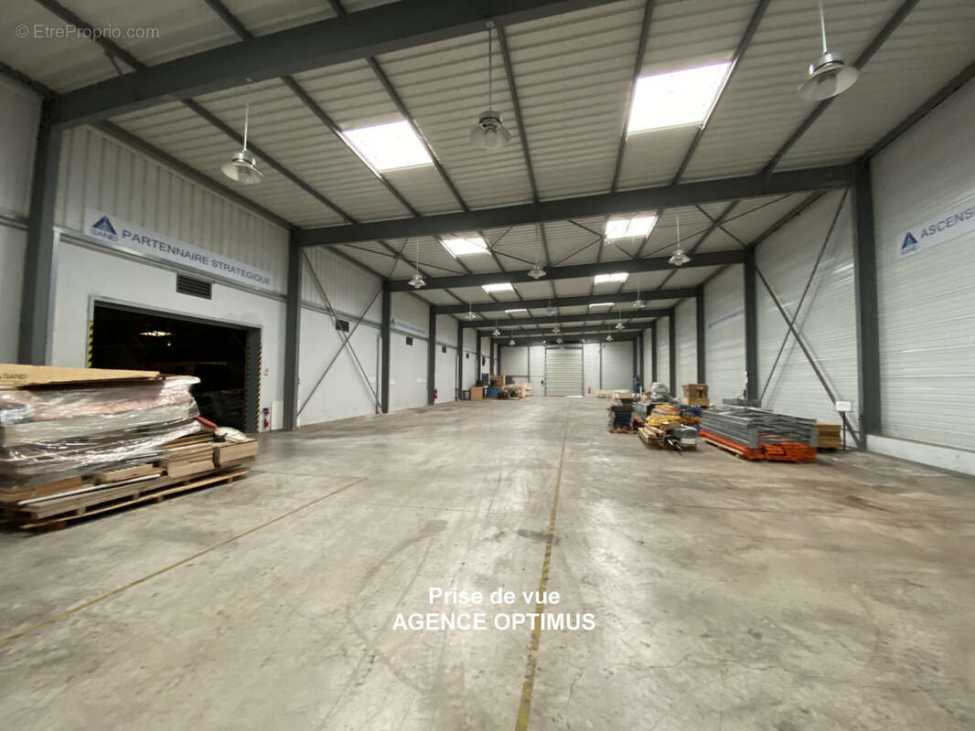 A VENDRE - Local professionnel avec vaste terrain clos à Villeneuve-la-Guyard (89) - photo 5