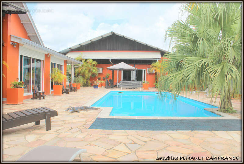 A vendre a kourou un magnifique complexe immobilier de 8 appartements (r+1) de 960 m² - une villa t5 (r+1) de 310 m² - terrain 1 - photo 2