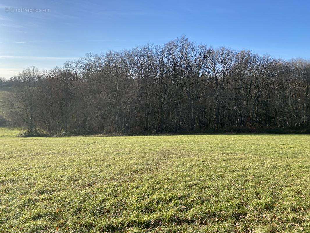 Terrain à NOTRE-DAME-DE-SANILHAC