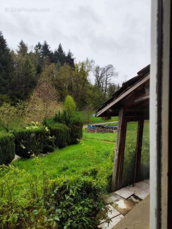 Photo 8 - Maison à BELMONT-DE-LA-LOIRE