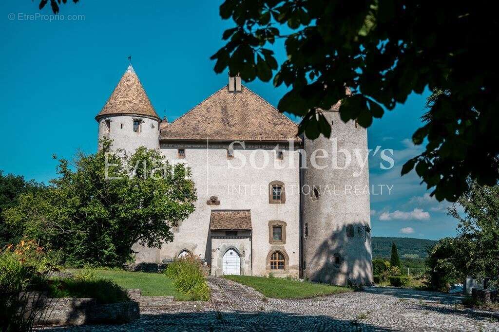 Château aux portes de genève - photo 12