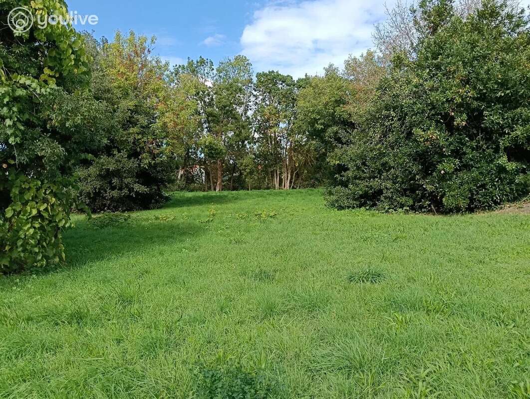 Terrain à LA BARRE-DE-MONTS