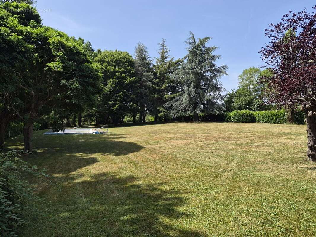 À vendre, proche de Trie-sur-Baïse (Hautes Pyrénées): Villa 5 chambres avec sous-sol, garage et piscine, nichée au cœur d'un jar - photo 3
