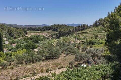 Maison 145 m² à Bandol  - photo 3
