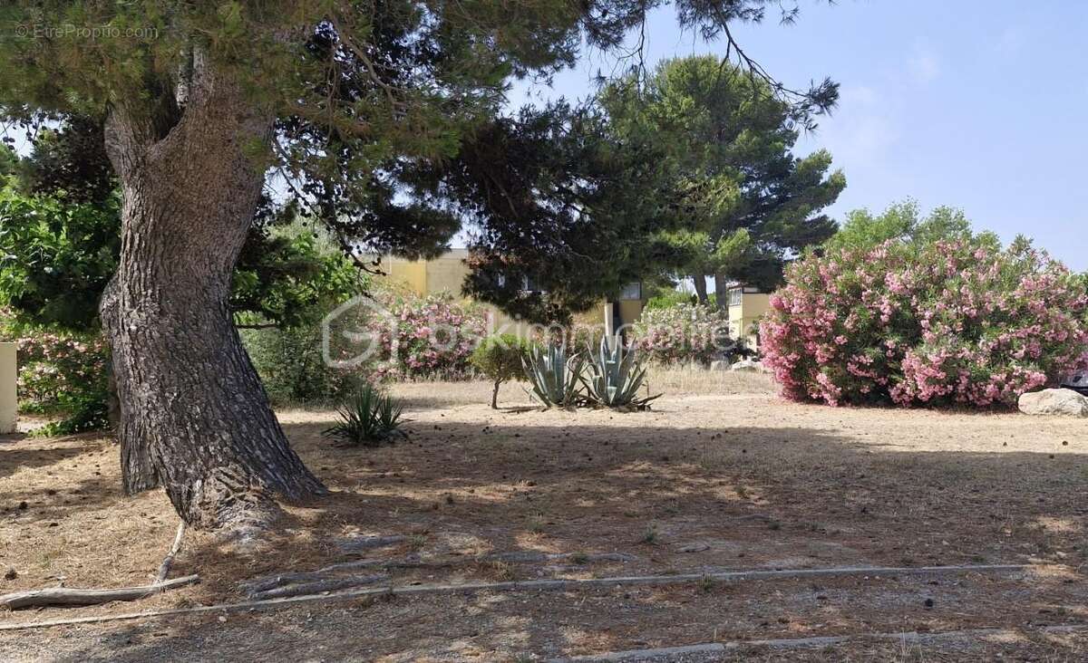 Appartement à LE BARCARES