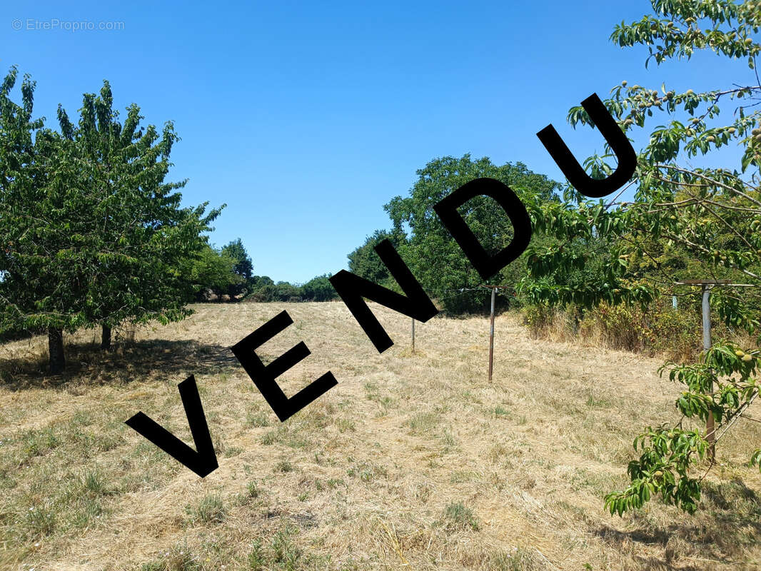 Maison à SANCERGUES