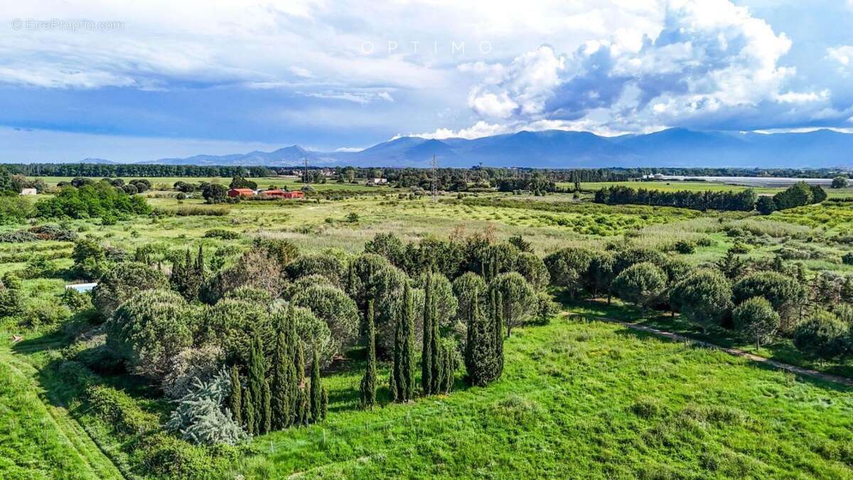 Terrain à SAINT-CYPRIEN