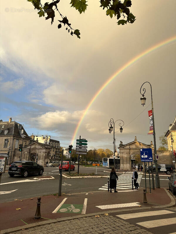 Commerce à MAISONS-LAFFITTE