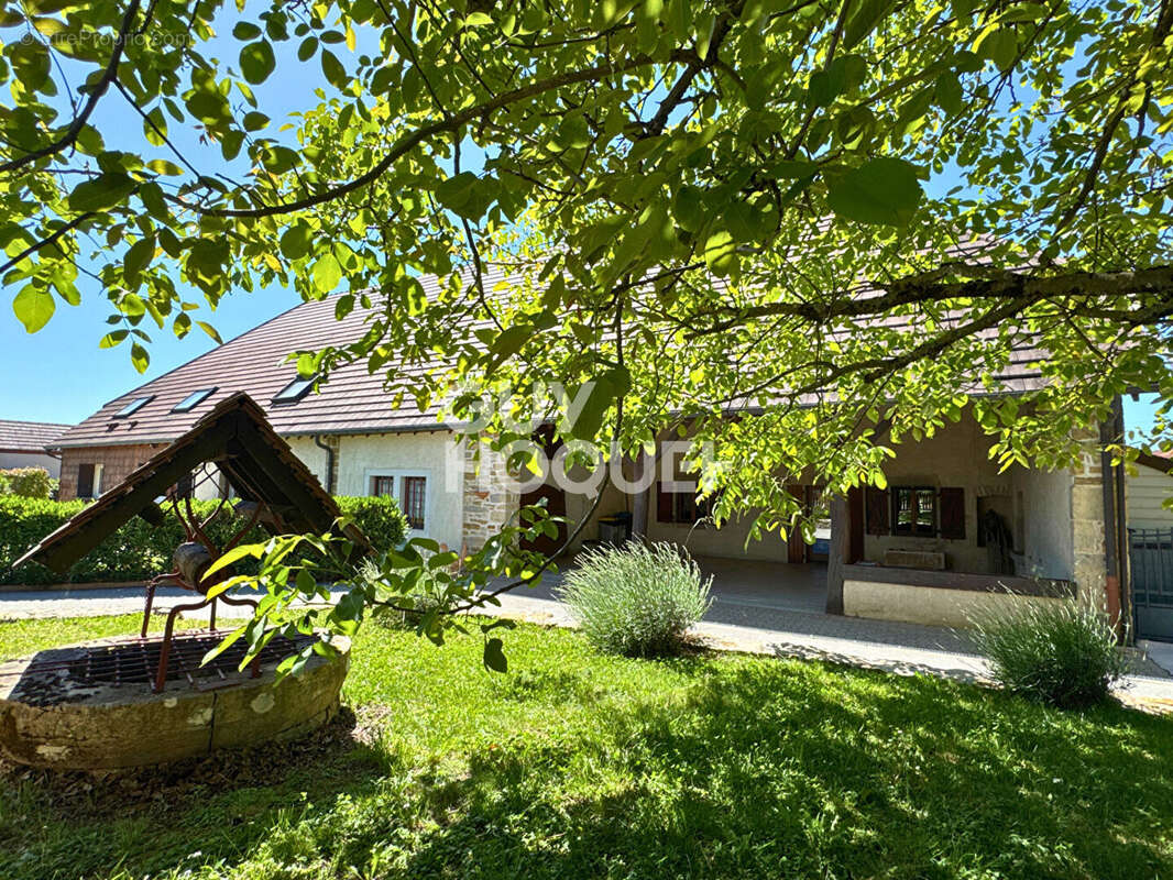 Maison et gite Oussieres 9 chambres - photo 2